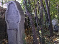 50-0., 50-1. Parcella